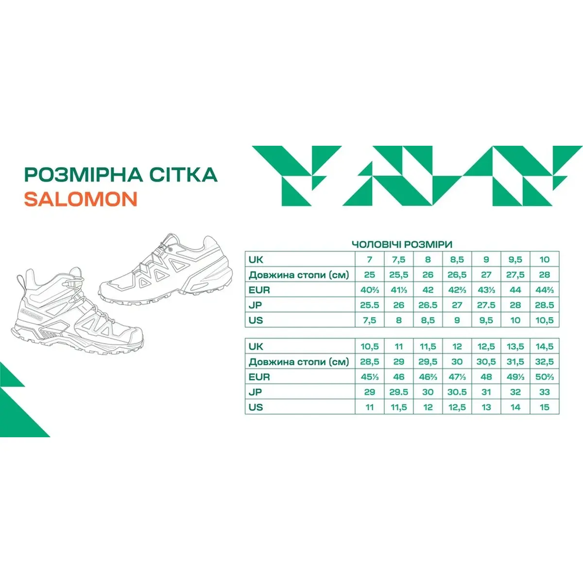 Розмірна сітка